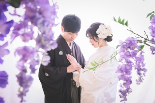 ✿スタジオのお花たち✿