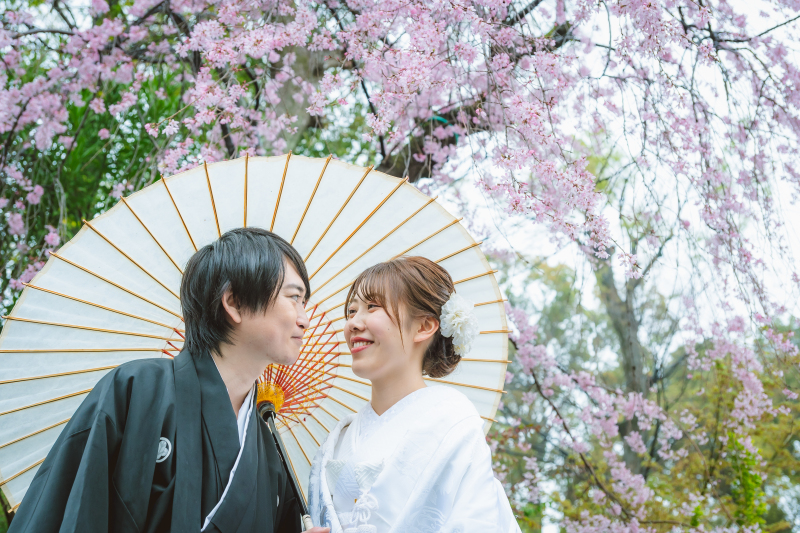 【雨の日フォト】肥後細川庭園×阿佐ヶ谷神明宮の『雨×桜』フォトをご紹介！