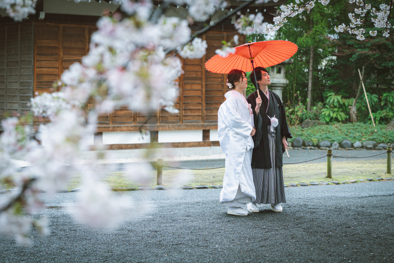 【雨の日フォト】肥後細川庭園×阿佐ヶ谷神明宮の『雨×桜』フォトをご紹介！