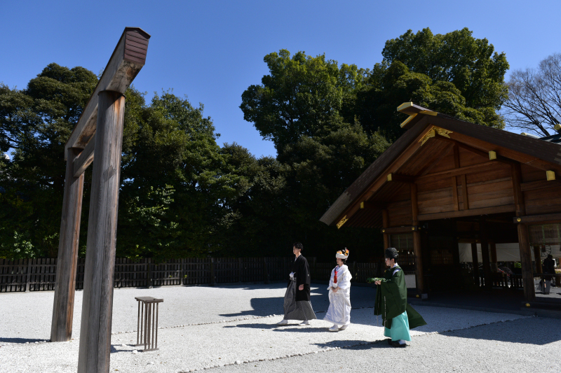 春の大田黒公園&阿佐ヶ谷神明宮撮影