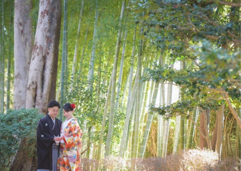 《2/1~2/17迄はお得!》撮影空き状況をご案内✨