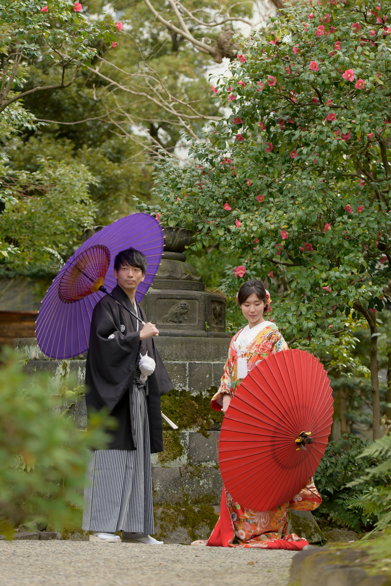 ✿冬の時期のお花✿