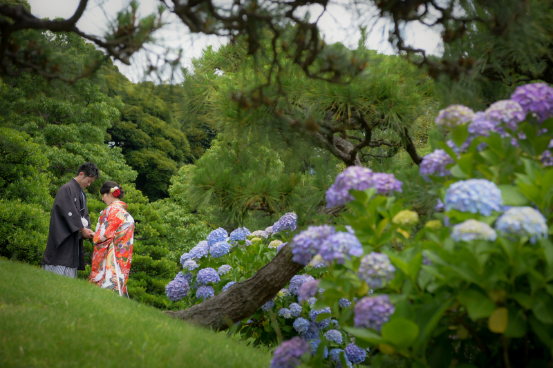 紫陽花の季節✿