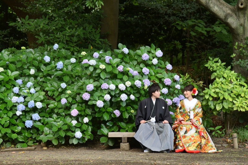 ✿もうすぐ紫陽花の季節✿