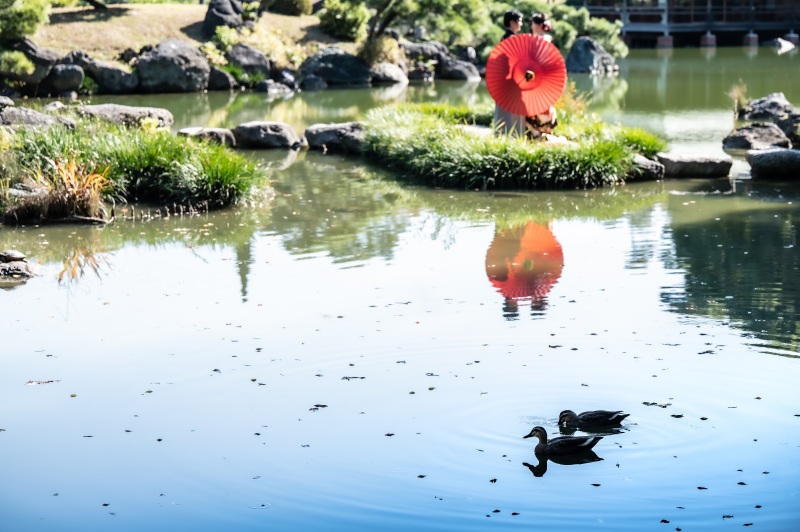 ≪現在の庭園風景≫先日撮影のお写真をご紹介♪