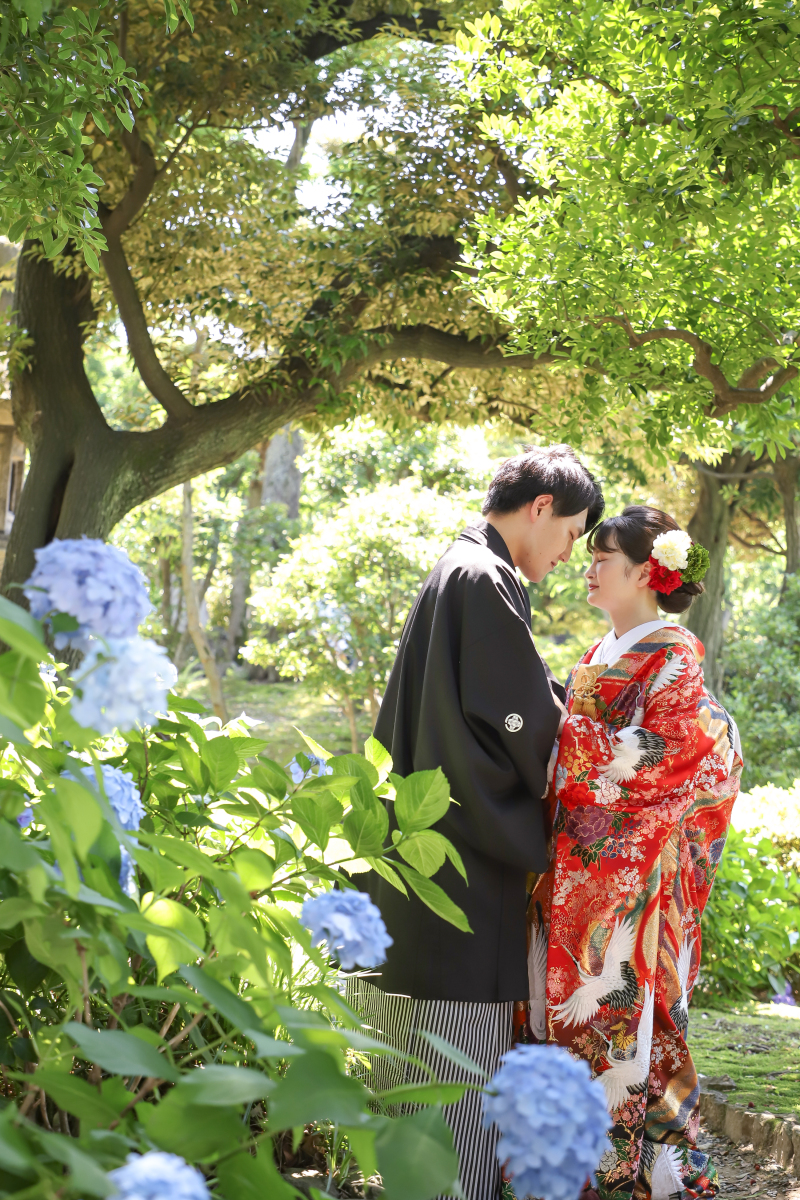 ≪新緑・紫陽花≫6月のロケーションフォトのご紹介(*'▽')