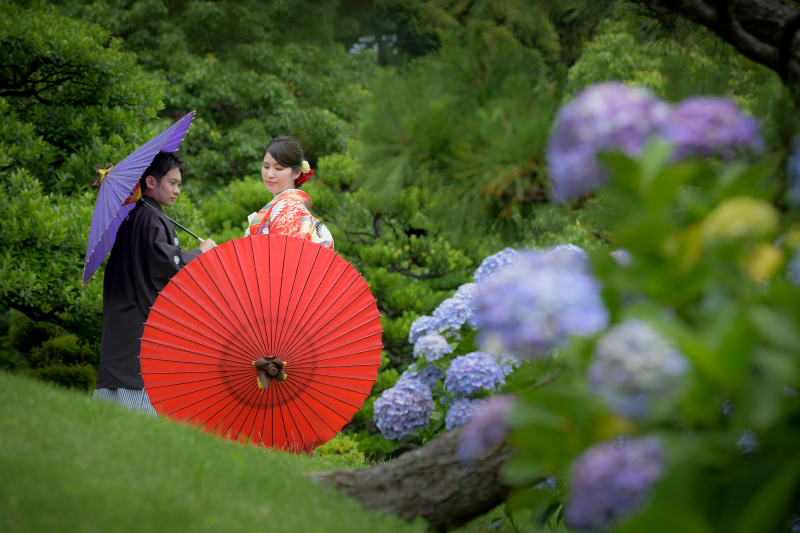 紫陽花の季節✿