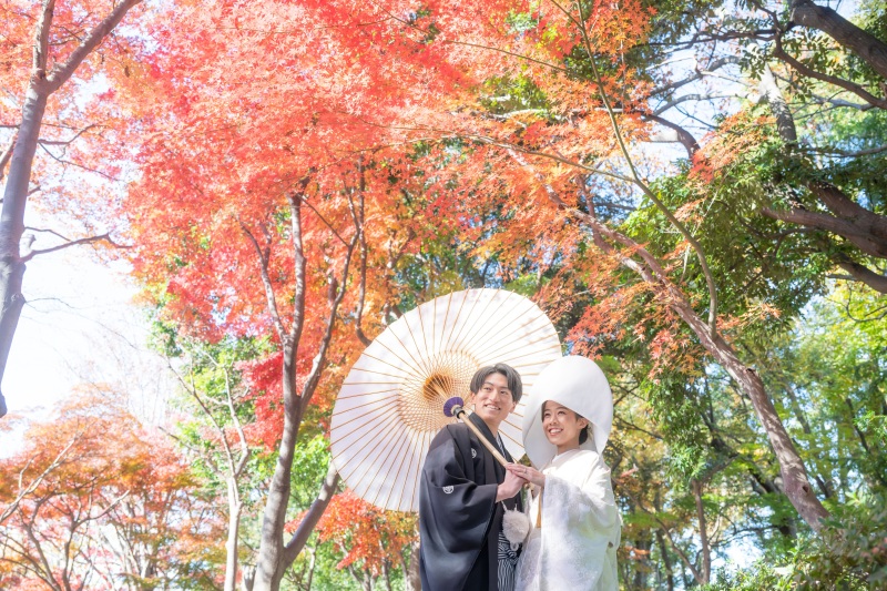 昨年12月の庭園風景をご紹介!