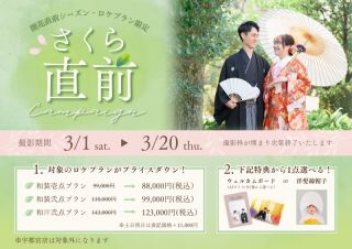 【さくら直前キャンペーン】3/1~3/20迄の撮影がお得♡