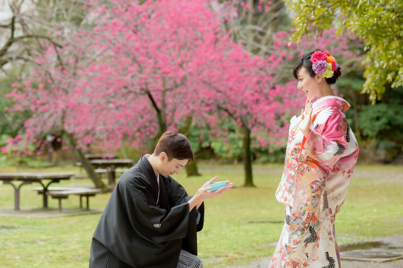 ✿早咲きの桜が咲いています✿