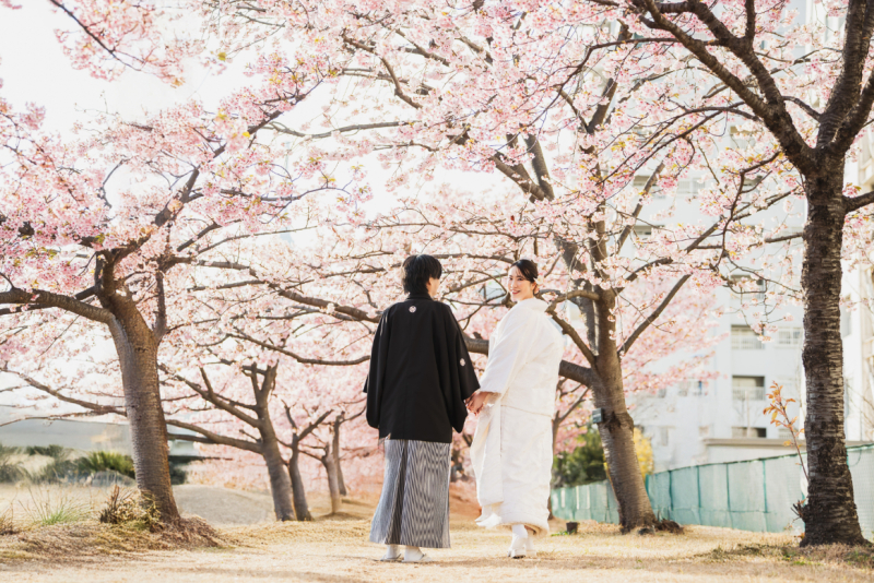 ２月に撮れるロケーションの様子！