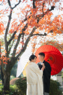 ≪2025年≫旧安田庭園の紅葉の様子✨