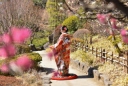 【2/25㈯・3/5㈰・3/11㈯・3/18㈯限定】目白庭園での撮影枠解放✿
