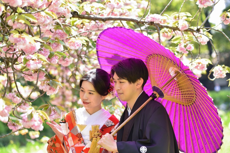 春の庭園フォト✿