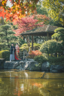 【2024紅葉状況】花畑記念庭園の紅葉！