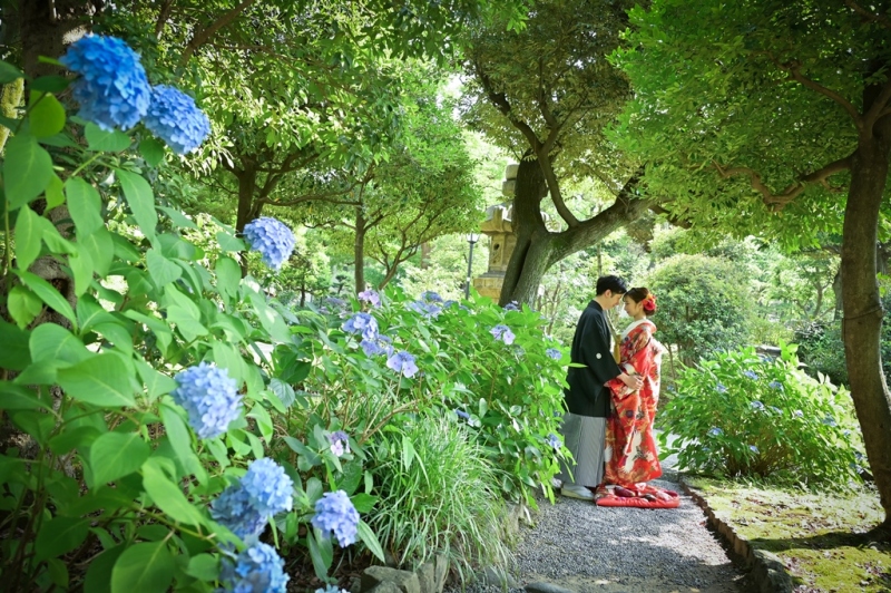 旧安田庭園の紫陽花フォトをご紹介♡