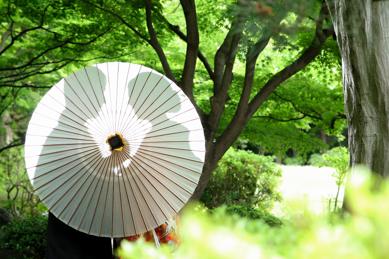 ≪撮影アイデア≫アイテムを使ったお写真【番傘編】