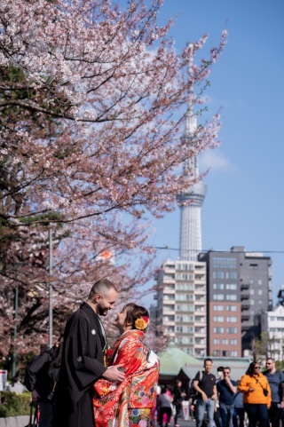 4月の桜の開花状況について✿