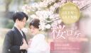 【3月下旬～4月上旬限定】　桜背景の前撮りが叶うロケーション紹介❣