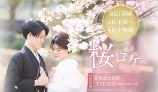 【3月下旬~4月上旬限定】 桜背景の前撮りが叶うロケーション紹介❣