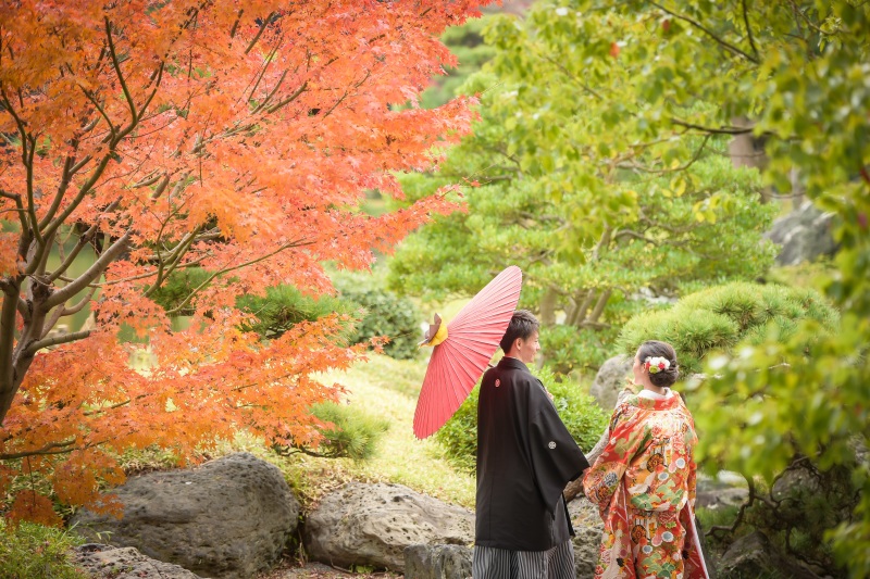 紅葉の季節！