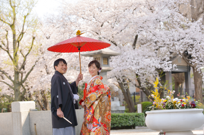 横網町公園の桜がキレイに咲いています(^_^)/