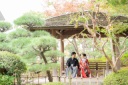 【11月の庭園の様子】最近の花畑記念庭園の様子です♪