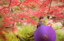 紅葉シーズンまだ空いてます('◇')ゞ