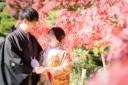 昨年12月の庭園風景をご紹介!