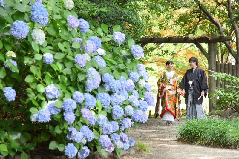 ✿もうすぐ紫陽花の季節✿