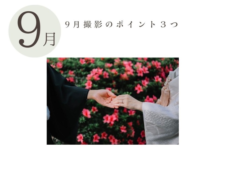 9月撮影のポイント3つをご紹介✨