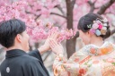 3月4日の河津桜の様子♪
