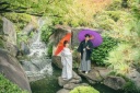 【庭園紹介】○○がある目白庭園✨
