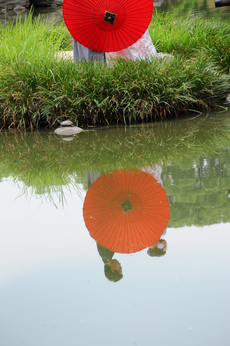 庭園の水鏡