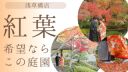 【紅葉シーズン】おすすめ庭園は花畑記念庭園!