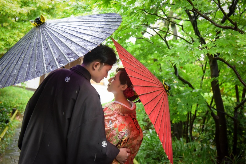 雨の日の目白庭園☂