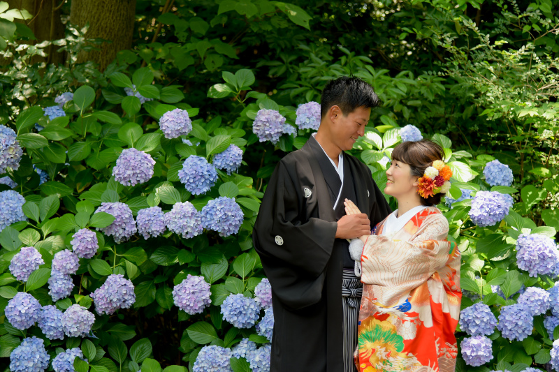 ✿もうすぐ紫陽花の季節✿