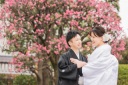 《浅草ロケフォト》梅が咲き始めました✿