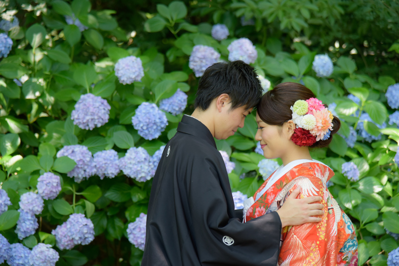 ✿もうすぐ紫陽花の季節✿