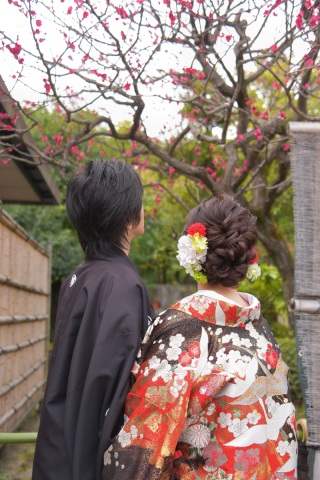 ✿梅の花が咲いています✿