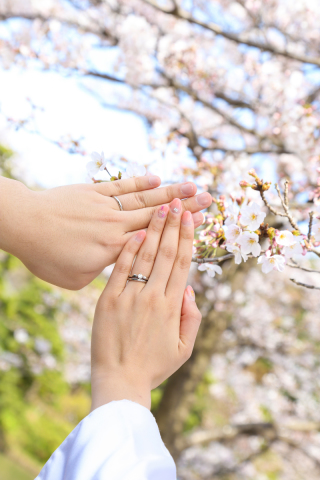 桜ロケーションフォト受付中です✿
