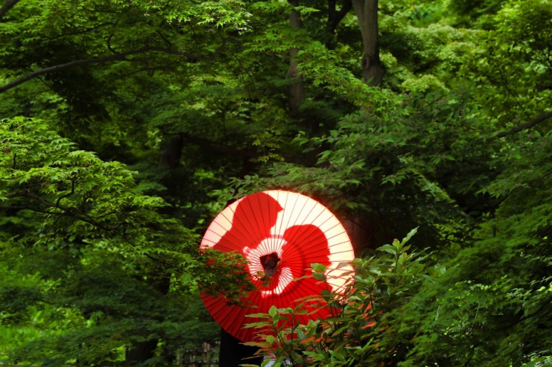 和装ロケーション撮影として大注目の日本庭園《横浜三渓園》についてご案内いたします