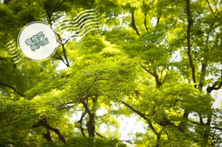 ~華雅苑横浜店 夏季臨時休業日のお知らせ~