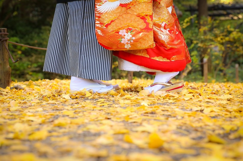 紅葉シーズン撮影大人気です！