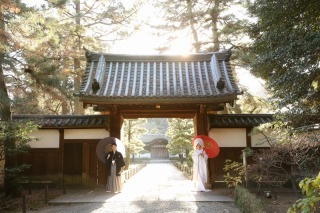 本年も宜しくお願い致します