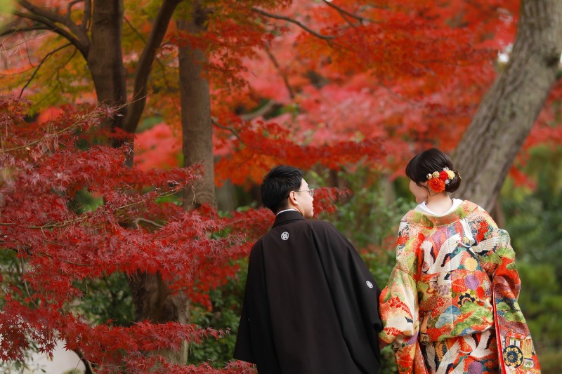 和装ロケーション撮影に適した季節に近づいてきました！紅葉撮影のご予約はお早めに！