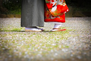 ✿桜ロケーション✿予約状況