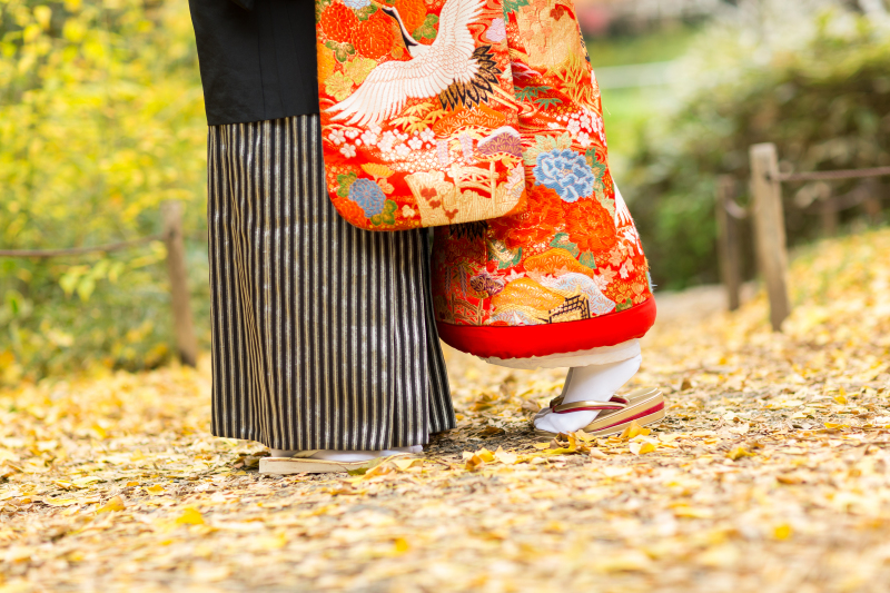 プランのお値段に関しまして✿