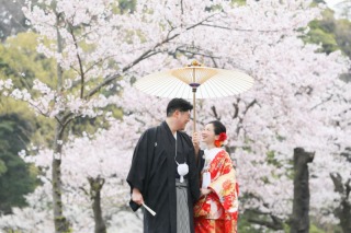 【桜シーズン】残りわずか！撮影ご予約空き状況