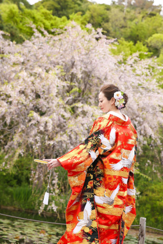 色打掛のご紹介です♡第二弾